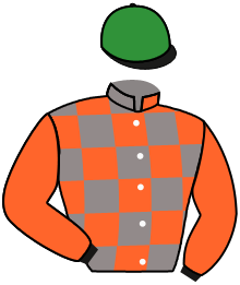 Casaque n°3