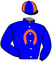 Casaque n°11