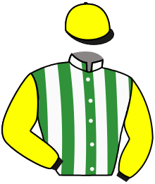 Casaque n°2