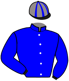 Casaque n°8