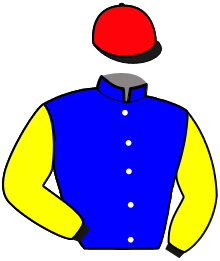 Casaque n°1