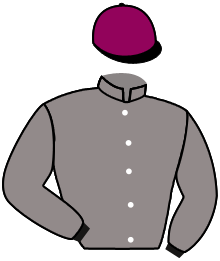Casaque n°3