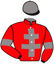 Casaque n°3