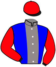 Casaque n°8