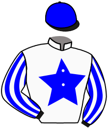 Casaque n°2