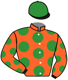 Casaque n°4