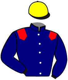 Casaque n°11
