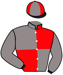 Casaque n°2