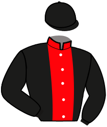 Casaque n°13