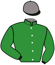 Casaque n°15