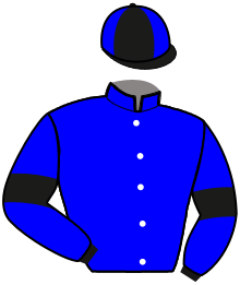 Casaque n°13