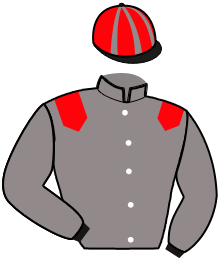 Casaque n°6