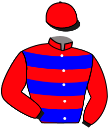Casaque n°11