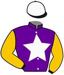 Casaque n°3