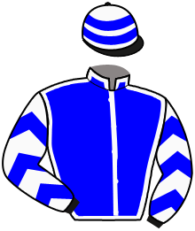 Casaque n°6