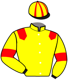 Casaque n°11