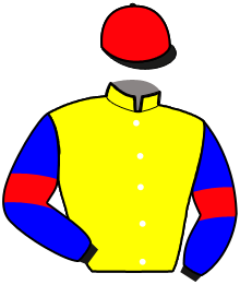 Casaque n°4