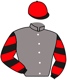 Casaque n°10