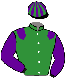 Casaque n°2