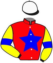 Casaque n°2