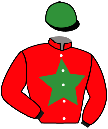 Casaque n°9