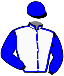 Casaque n°2