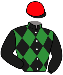 Casaque n°15