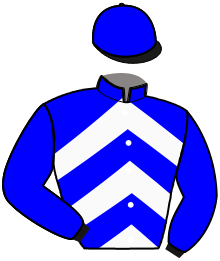 Casaque n°16