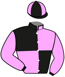 Casaque n°11
