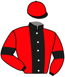 Casaque n°4