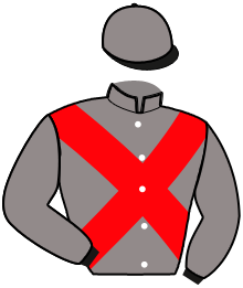 Casaque n°12