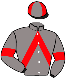 Casaque n°2
