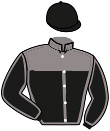 Casaque n°3