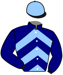 Casaque n°3