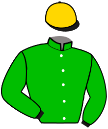 Casaque n°15