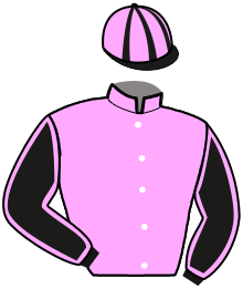Casaque n°3
