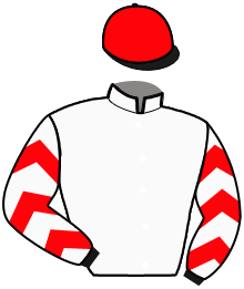 Casaque n°8