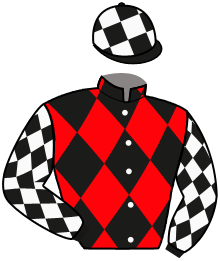 Casaque n°12
