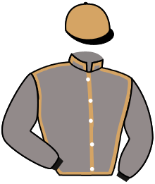 Casaque n°1