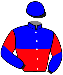 Casaque n°1