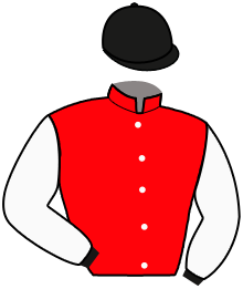 Casaque n°10