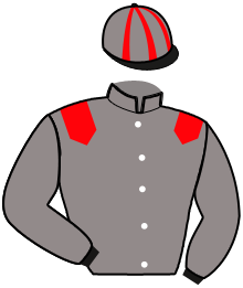 Casaque n°6