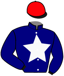 Casaque n°12