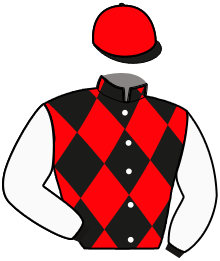 Casaque n°8