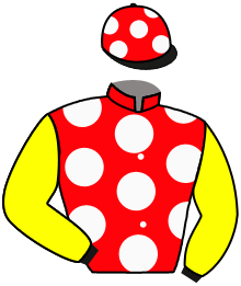 Casaque n°3