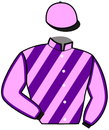 Casaque n°12