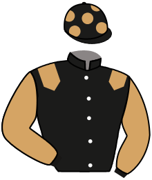 Casaque n°2
