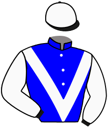 Casaque n°10