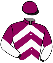 Casaque n°12