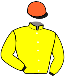 Casaque n°14